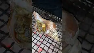 Oyster Butter【Solo Camping】
