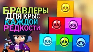 ТОП БРАВЛЕРОВ ДЛЯ КРЫС В КАЖДОЙ РЕДКОСТИ | BRAWL STARS
