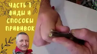 Часть 1. Виды и способы прививок.