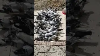 1 октября 2021 г.