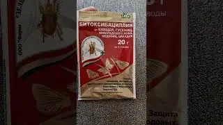 от вредителей во время сбора урожая