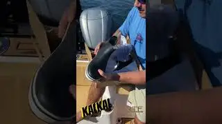 New Deck Boots from KALKAL.