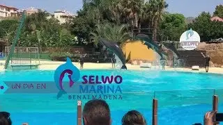 VLOG UN DÍA EN SELWO MARINA | FeliSmile