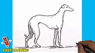 How To Draw Greyhound Dog #trending #viral | Easy Drawings | Magic Drawings #dogs #pets #doglover