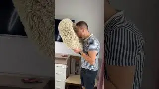 Таксы не добрые собаки😰 
