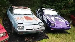The MOST Ford EXPs You'll See In One Spot!