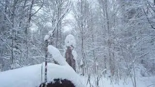 "Я из лесу вышел..." 4-хкомпонентная схема "Дом - Работа - Лес - Дом"