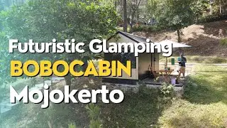 BERMALAM DI TENGAH HUTAN PINUS DALAM SMART CABIN #wisatajatim #glamping #wisatamojokerto