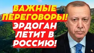 Важные переговоры! Эрдоган летит в Россию!