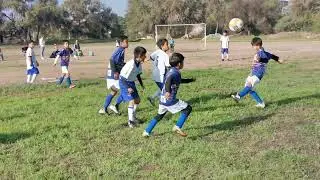 ⚽ ⚽ ⚽ Deportivo Estación VS Gallitos ⚽ ⚽ ⚽