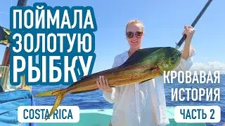 Охота на ДОРАДА в тихом океане. Часть 2. Рыбалка. СЛАБОНЕРВНЫМ НЕ СМОТРЕТЬ!!!!