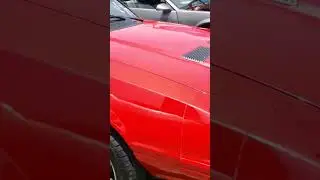 Mustang 83