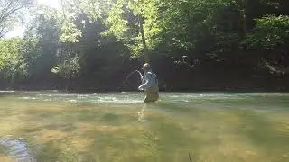 Rainbows on the Fly