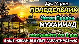 ✨🤲🕌 ДУА УТРОМ В ПОНЕДЕЛЬНИК ДАЕТ УВАЖЕНИЕ, БОГАТСТВО, ДЕНЬГИ, УСПЕХ И СЧАСТЬЕ! 