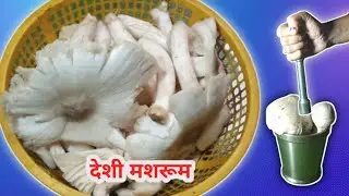 पतेरा फुटू (मशरूम) सब्जी l दादी मां के तरीके से l छत्तीसगढ़ी फुटू सब्जी l मशरूम l mushroom recipe l
