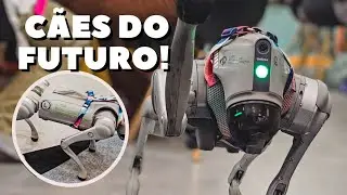 NOVIDADES IMPERDIVEIS para seu cachorro! 🐕 Therapet, Precision edge, Dog's Care, My Family e Toh