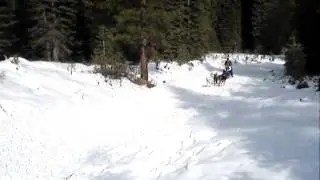 Fahm and Nicole Dogsledding - Video 1