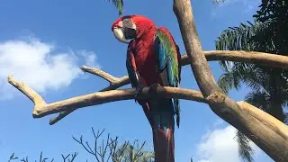Bird park and batterflies in Bali