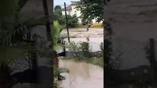 Dere Taştı Mahalle Sular Altında Kaldı