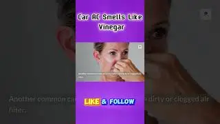 Car AC Smells Like Vinegar? Here's What It Means! #Shorts #CarProblems #VinegarSmell #DIYMechanic