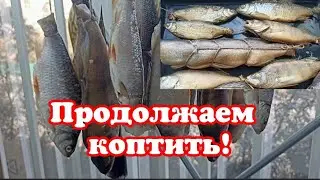 Продолжаем коптить!