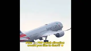 Best of They Actually Said that? 😱🤔ATC vs Pilot  #aviation #planespotting #pilot #cockpit #atc