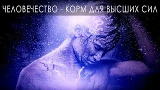 ЛЮДИ - КОРМ ДЛЯ ВЫСШИХ СИЛ