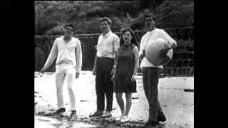 SEEKERS  Someday, One Day stereo