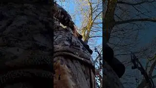 FULL VIDEO on our Channel. #bowhunting  #hunting #deerseason #deerhunting #bigbucks #giant #texas