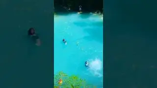 Charco "La Paja" 🇩🇴 #shorts #travel #republicadominicana