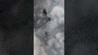 Ловим запускаем осетра всех ждём в гости