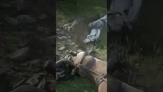 Raining horses in Red Dead Redemption 2 