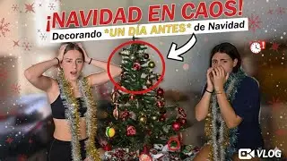 DECORAMOS TODA LA CASA DE NAVIDAD