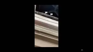 Cat scared of farts 
