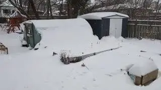 What a Crazy Winter 🥶