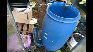 Обход перед высадкой в открытый грунт