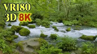 [ 8K 3D VR180 ] 夏の奥入瀬渓流 Oirase mountain stream in Aomori,JAPAN