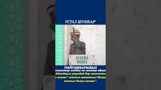 Жалганчы заман. УСТАЗ ШУМКАР