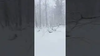 Снегопад. Март.