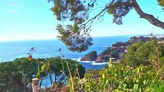 Beach Santa Francisca, Costa Brava. @AlexanderI