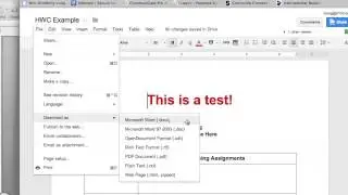 Edit and Save Google Docs