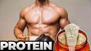 Protein Unveiled: How Much Do You Really Need for Optimal Health and Fitness?