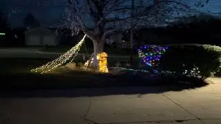 Wildlife Themed Holiday Lights