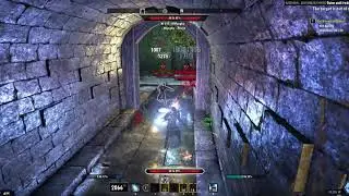 ESO | Magicka Dragonknight Outnumbered PvP, Volume 5