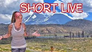 Just A Quick Live
