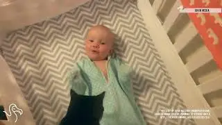 Babies Laughing At Pets   The Dodo