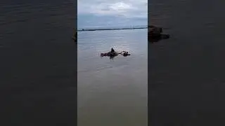 ДОХЛЫЙ МЕДВЕДЬ НА РЫБАЛКЕ.
