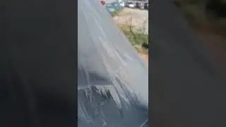 мы с Лиза w_w
