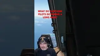 PMDG 777. How to entertain yourself on a long haul. 