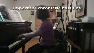 (HD) Piano Lesson, W. A.  Mozart Fantasia in D minor, K.  397